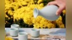 读完《一把自己的椅子》　我终于不再讨好全世界