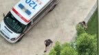 2岁男童从18楼坠亡之后：父亲曾在殡仪馆下跪，母亲怀疑，婚姻濒临破碎