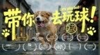 《带你去玩球！》北影节入围短片