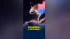 知名歌手赵雷宣布当爸，演唱会公开与儿子合照