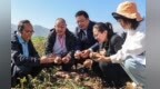 甘肃定西：寻薯迹拓商机
