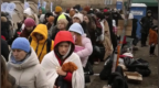 魏德尔：在德国的乌克兰公民应该返回自己的家园