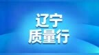 夯实质量支撑  强化品牌驱动 辽宁大力培育县域发展新动能
