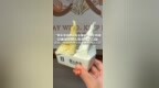 “罗永浩说野人先生难吃”冲上热搜 记者探访野人先生线下门店 店员：降温后卖得不好 没关注网上言论 律师：罗永浩的“免责声明”很专业