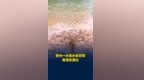 贵州一水库水体异常，黄泥浆涌出，官方通报：属实，已开展综合治理施工