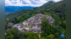云南景迈山：游客寻茶香 古寨续新篇