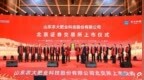 过去五年，山东在北交所“种”出了什么？