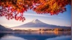 30年未见之大变局？日本加息提速背后，牵动着5万亿美元的投资去向