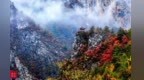 秋天在哪里　甘肃康县带你寻找答案