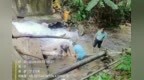 汛后排险抢修 白沙全力以“复”
