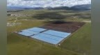 甘肃夏河农牧民get专业技术　川贝母幼苗植入高原沃土