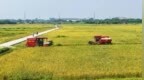 三水乐平：打造连片良田、腾挪产业空间，全域土整重塑发展新格局