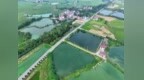 江西泰和：四好农村路助力乡村振兴（图）