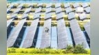 都昌县规划新蓝图：五大产业冲160亿元 打造8个“超百万元村”