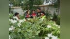 这所乡村小学，充满了诗香——枣庄市薛城区夏庄小学语荷诗社的温暖坚守