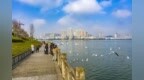 重庆六部门联合印发《美丽重庆建设全民行动促进计划（2026—2030年）》 绘制未来五年全民行动路线图