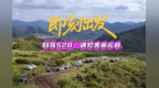 自驾520畅游山水间　甘肃陇南礼县等你来撒野