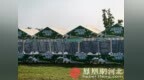 石家庄滹沱河畔“莓”好将至 超级草莓音乐节静候乐迷