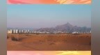青春共话·探秘内蒙古｜青年大V探访乌海，一场串联葡萄、黄河与沙漠的实地走访