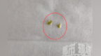 皇家美素佳儿奶粉被指喝出绿色异物“用手摸，像单层卫生纸巾”