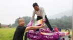 瑞昌市：良种免费发 冬种不误时（图）