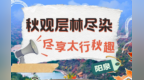 乡村四时好风光·秋季篇丨阳泉：秋观层林尽染 尽享太行秋趣