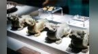 江都王陵珍宝首次来江西集中展出，两大汉墓国宝“跨时空相遇”