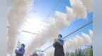 甘肃高台壮大村集体经济