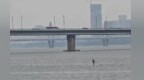 南昌海事部门提醒：切勿进入通航水域开展戏水活动
