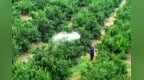 秋季管护正当时！新余高新区为蜜桔丰产、果农增收保驾护航