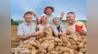麦当劳启动 “麦麦农场敬丰收”活动  致敬好食材背后的农人伙伴