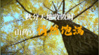 秋分天地收敛时，山药豆悄然饱满