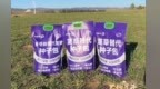 应对蒿草过敏新方式，从 “人工拔蒿” 到 “以草抑草”，生态种子包用乡土草替代蒿草，变 “除草” 为 “种草。