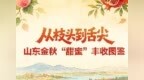 从枝头到舌尖 山东金秋“甜蜜”丰收图鉴