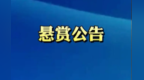 老赖转移财产玩失踪　法院发悬赏令