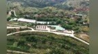 梯田山间养红牛　甘肃庄浪特色产业“牛”在哪儿