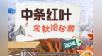 乡村四时好风光·秋季篇丨运城：中条红叶 金秋拾珍游