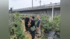 铜陵郊区大通镇：节前排查除隐患 筑牢铁路安全防护网
