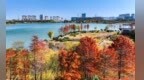 从山到湖、从城到村，铜山双节“C位”出场的底气何在？