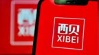 西贝自罗永浩事件后增资超1400万