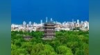济南：干部派出去，发展带回来