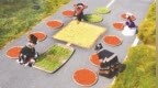新余市渝水区：抢抓好天气 晾晒农作物（图）