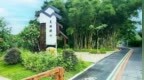 珠海古元故里那洲：国庆假期在绿道与画展间慢品乡野