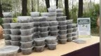 3天抓12万条，被毛毛虫害苦的北漂开始反击了