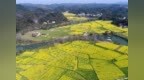全国秋粮收获过三成
