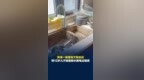 珠海一租客拖欠租金后，将13岁儿子独留停水停电出租房，房主赢了官司却收不回房子