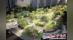 长沙国体公园动工 体育新城将添“绿色客厅”