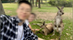 中国夫妇澳洲车祸身亡，两人都是医护工作者，涉事路段年久失修