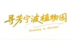 漫游镇海，赴一场山海烟火！