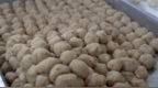 金烽：一口冰薄月饼，一生开州乡愁